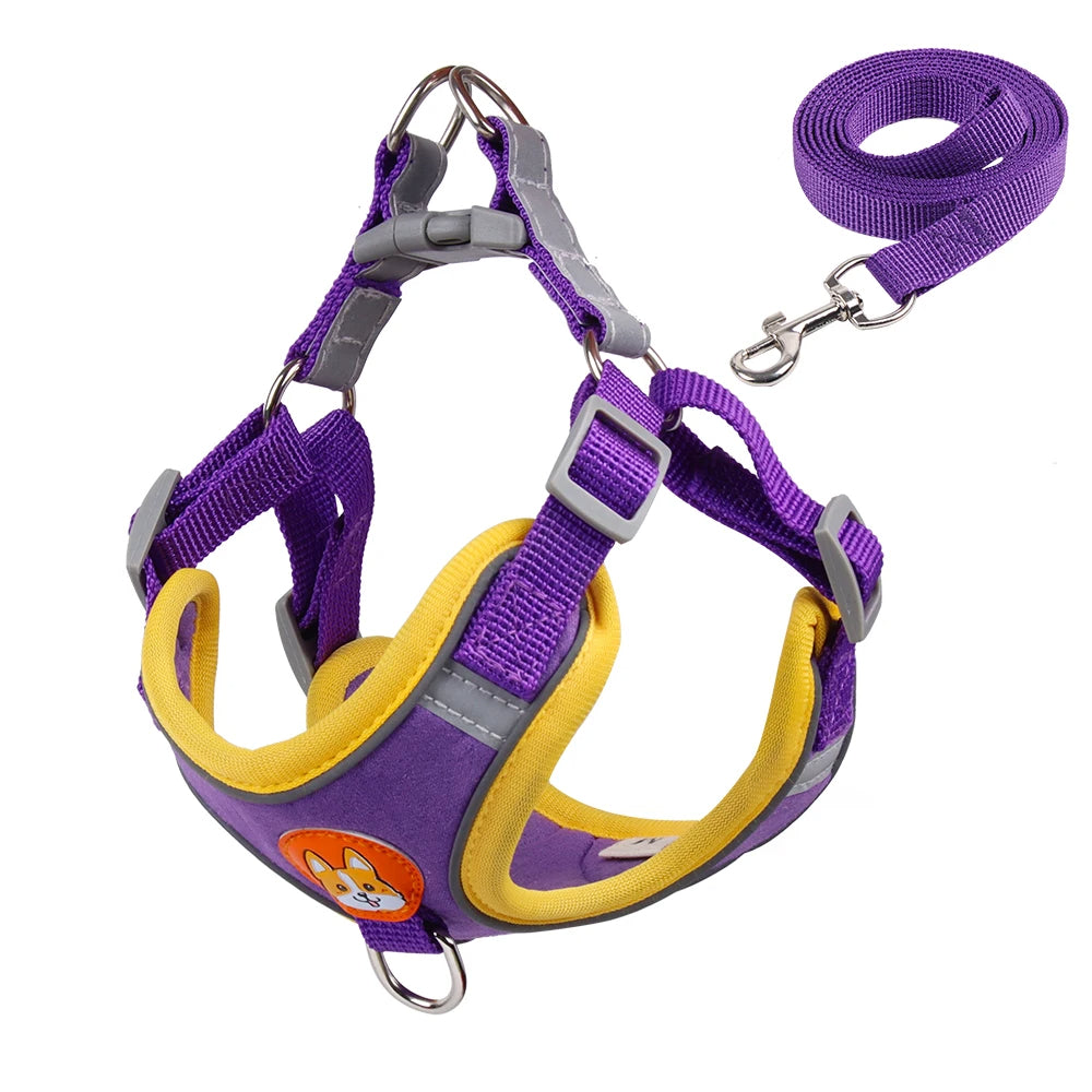 Pet Cat Harness And Leash Set